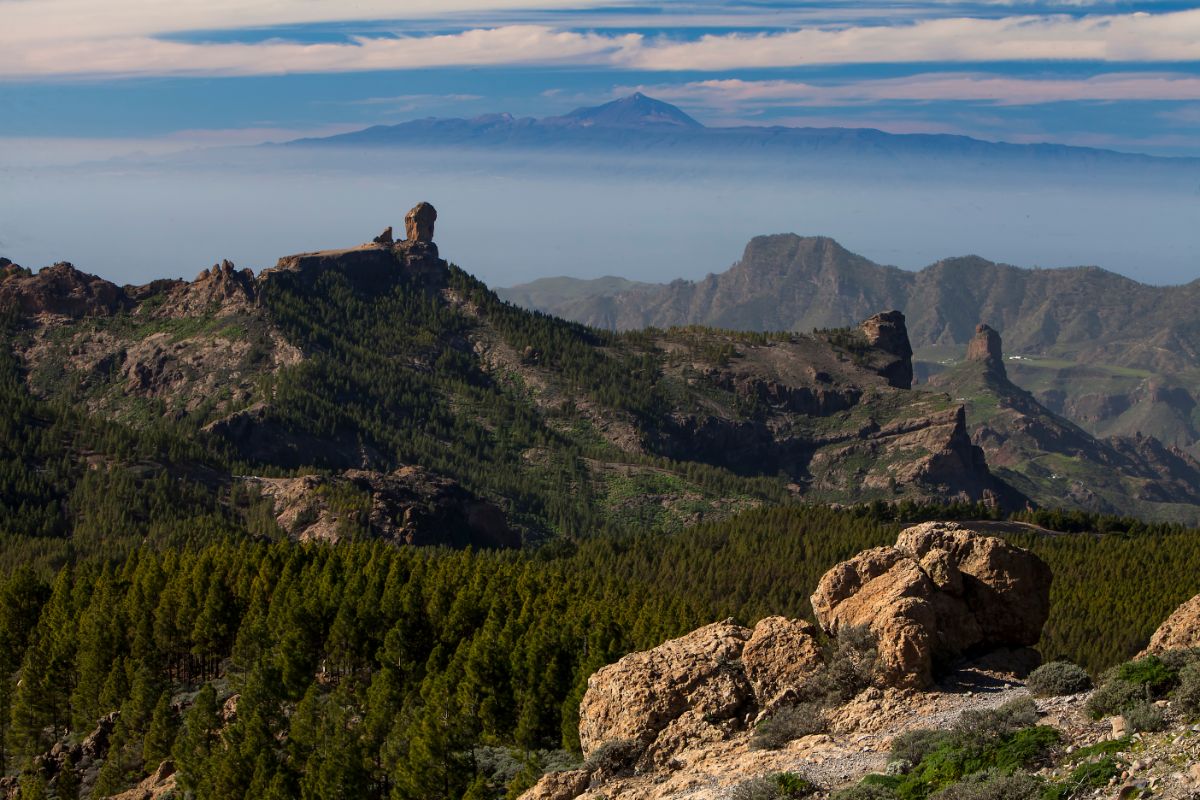 Tenerife - Gran Canaria