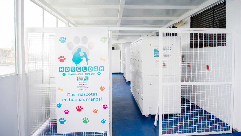 Passengers can access the pet area at any time during the journey.