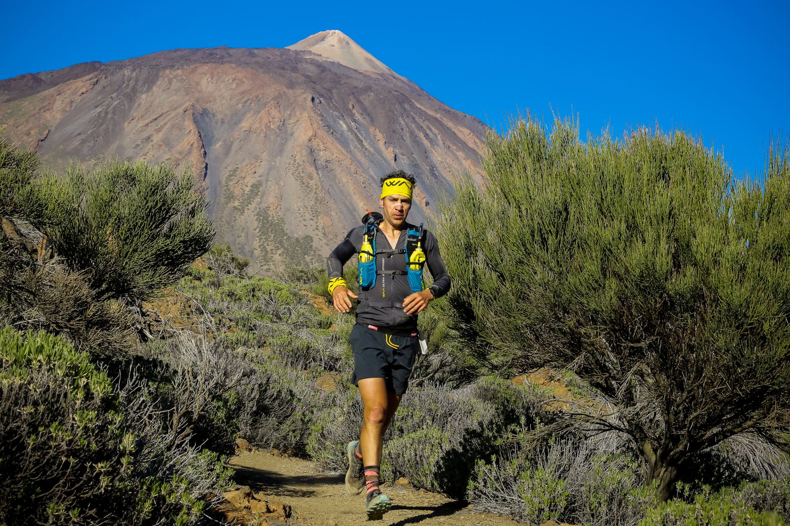 Corredor de la Fred. Olsen Tenerife Bluetrail