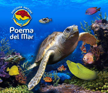 Oferta Aniversario Poema Del Mar